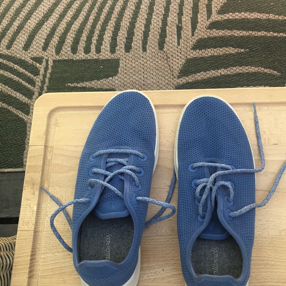 All birds blue mesh lace ups